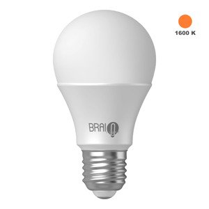 Žiarovka BrainLight Amber Bulb, E27, 7 W, 1600 K