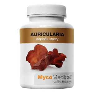 MycoMedica - Auricularia v optimálnej koncentrácii, 90 rastlinných kapsúl
