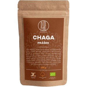 BrainMax Pure Chaga prášok, BIO 100g *CZ-BIO-001 certifikát