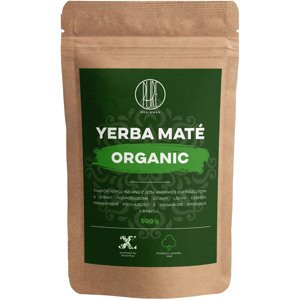 BrainMax Pure Natural Yerba Maté BIO, 500 g *CZ-BIO-001 certifikát