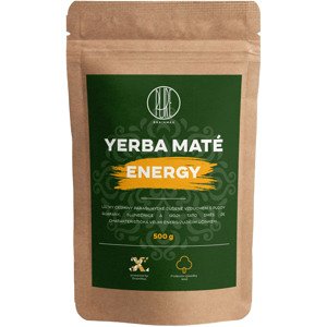 BrainMax Pure Yerba Maté, Energy, 500 g Brazílska yerba obohatená o plody guarany pre energiu