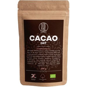 BrainMax Pure Cocoa Nibs, Drvené Kakaové Bôby, Nepražené, RAW, BIO, 250 g *CZ-BIO-001 certifikát