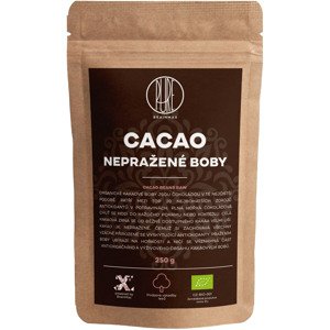 BrainMax Pure Kakaové bôby RAW, BIO, 250 g *CZ-BIO-001 certifikát