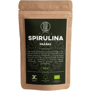 BrainMax Pure Spirulina BIO prášok, 250 g *CZ-BIO-001 certifikát