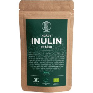 BrainMax Pure Agáve Inulin BIO, 500 g *CZ-BIO-001 certifikát