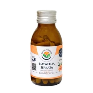 Boswellia serrata – kadidlovník – 60 kapsúl doplnok stravy
