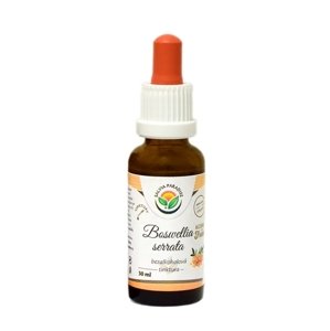 Boswellia serrata - kadidlovník bezalkoholová tinktúra 30 ml Doplnok stravy