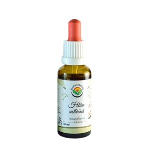 Salvia Paradise Hliva ustricová - tinktúra 30ml