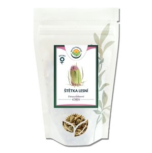 Salvia Paradise Štetka lesná - koreň 100g