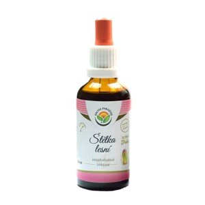 Salvia Paradise Štetka lesná - bylinná tinktúra 50ml