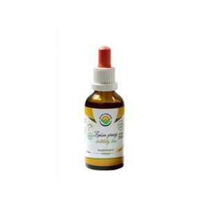 Salvia Paradise Ženšen pravý 6-ročný BIO tinktúra - 50 ml