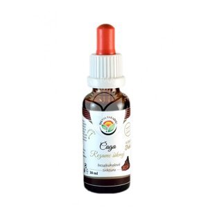 Čaga - rezavec šikmý AF tinktúra 30ml