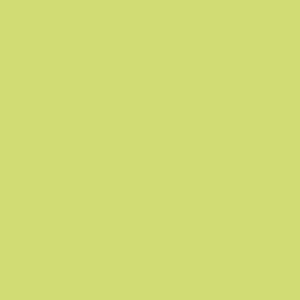 Kiepe Colored Tweezers - farebné pinzety na obočie, šikmý hrot, 10 cm Light Green - svetlo-zelená
