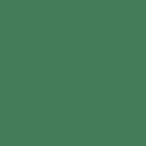 Kiepe Colored Tweezers - farebné pinzety na obočie, šikmý hrot, 10 cm Dark Green - tmavo-zelená