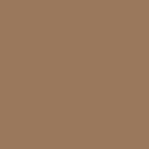 Kiepe Colored Tweezers - farebné pinzety na obočie, šikmý hrot, 10 cm Light Brown - svetlo-hnedá