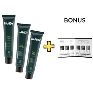 AKCIA: 6x Dandy Hair Color - permanentná pánska farba na vlasy, 60 ml + vzorkovník