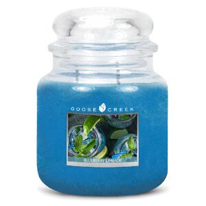 Goose Creek - Čučoriedková limonáda