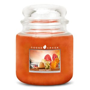Goose Creek - Plážová párty