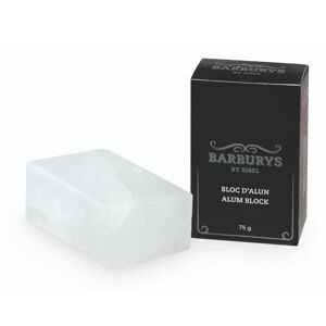 BARBURYS Haemostatics - kamanec na zastavenie krvácania P001831 - Blok