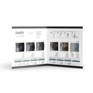 VZORKOVNÍK: DANDY HAIR COLOR